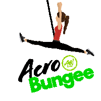 Bungeeworkout Bungeefitness Sticker by AWBungee