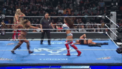 Cutter Chelsea Green GIF