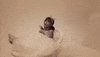 ariana grande bath GIF
