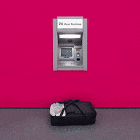 Pinakotheken  GIF