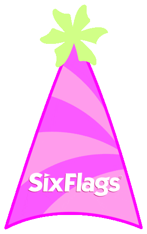 Party Birthday Sticker by Six Flags