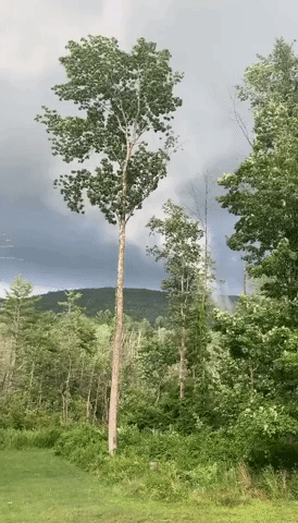 'Oh My God': Possible Tornado Sighted in Litchfield County, Connecticut