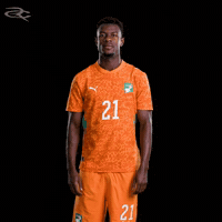 Fifa World Cup Elephants GIF by Respective