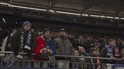 Football Soccer GIF by FC Schalke 04