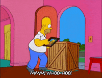 homer simpson episode 20 GIF