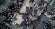 season 1 episode 1 the walking dead zombies pilot GIF