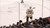 Celebrate National Hockey League GIF by NHL