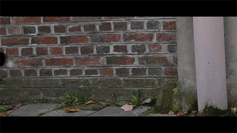 GIF by octobiche