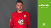 bundesliga wolves GIF by VfL Wolfsburg