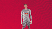 The Wall No GIF by RB Leipzig