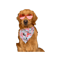 Dog Love Sticker by Geekster Pets