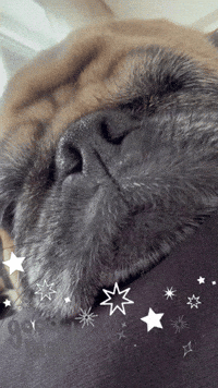 Sleepy Good Night GIF