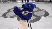 Oshawa Ridgeback GIF by Ontario Tech Ridgebacks