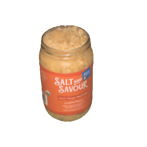 SaltAndSavour giphygifmaker cabbage sauerkraut kraut Sticker
