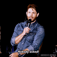 aborddelimpala reaction gif jensen ackles aborddelimpala nobody asked GIF