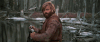 GIF by Giphy QA