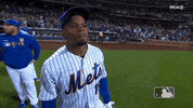Happy Ny Mets GIF by New York Mets