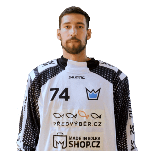 Floorball Bauer Sticker by Český florbal