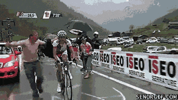 race wtf GIF by Cheezburger