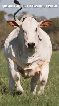 CAMPONUTRICAO  GIF