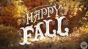 Fall Season Halloween GIF by Hallmark Gold Crown