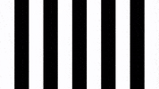 Happy Dance GIF by SK Sturm Graz