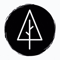 Ederbergwald trees woods baum ederbergland GIF