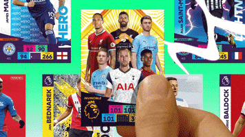 OfficialPanini football wow golden premierleague GIF