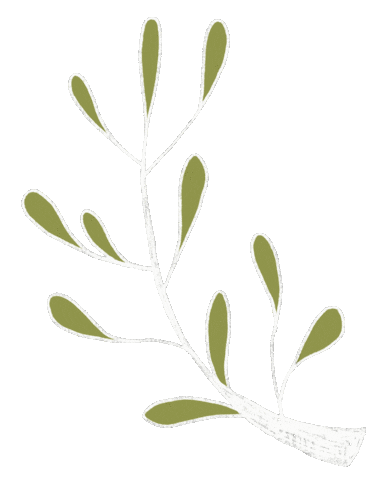 Sarahv_artist giphyupload nature green plant Sticker