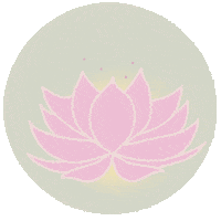 Inner Peace Yoga Sticker by yvoscholz