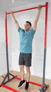 ThisIsCalisthenics calisthenics pull up tic back workout GIF