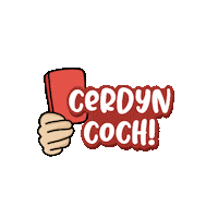 Rygbi Pel Droed Sticker