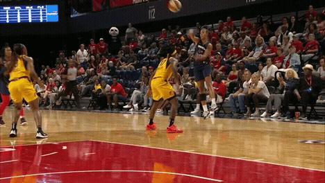 Candice Dupree Wnba GIF by Indiana Fever