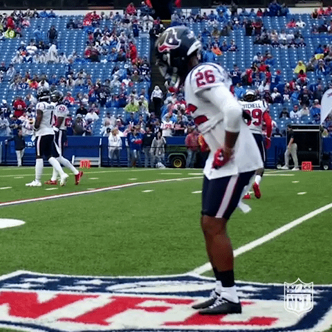 Happy Houston Texans GIF by NFL