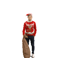 Christmas Logo Sticker by ZDF