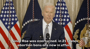 Joe Biden GIF by GIPHY News