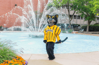 uwmilwaukee funny mascot university campus GIF