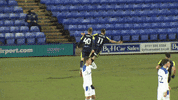Stevenage_FC  GIF