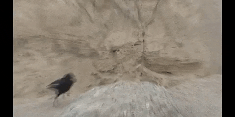 Earth Science Education GIF by DIIMSA Stock