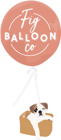 figballoonco fig fig balloon co figballoonco figballoons Sticker