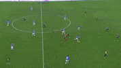 GIF by Sampdoria