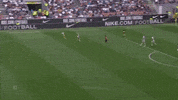 parmacalcio1913  GIF