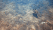Landscape Discover GIF by PONANT