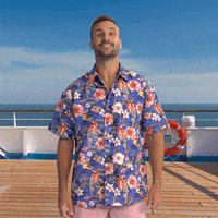 CarnivalOz yes nod nodding carnival GIF