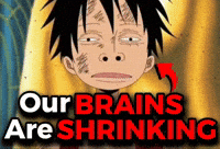 Shrinking One Piece GIF