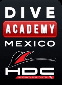 HuatulcoDiveCenter padi divemaster padi divemaster scuba instructor GIF