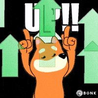 To The Moon Crypto GIF by BONK