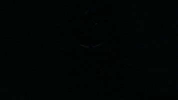 Outer Wilds Mobius GIF by Annapurna Interactive