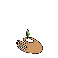 miriahhernden flower plants grow bloom Sticker