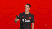 Bayer Leverkusen GIF by Bundesliga